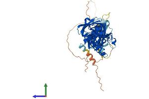 AlphaFold protein structure predicition of Human Recombinant SNTG1 Protein, UniprotID Q9NSN8