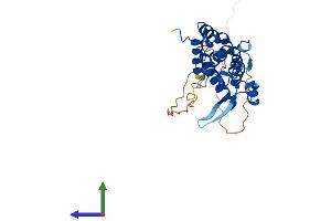 AlphaFold protein structure predicition of Human Recombinant PACRG Protein, UniprotID Q96M98