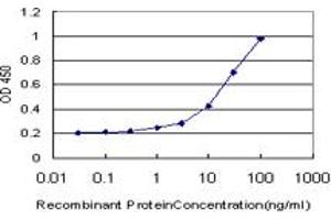 Detection limit for recombinant GST tagged LHX1 is approximately 1ng/ml as a capture antibody. (LHX1 anticorps  (AA 1-100))