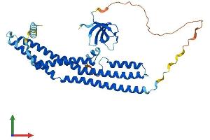 AlphaFold protein structure predicition of Mouse Recombinant Sh3gl1 Protein, UniprotID Q62419