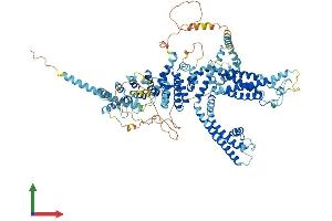 AlphaFold protein structure predicition of Human Recombinant TRPC6 Protein, UniprotID Q9Y210
