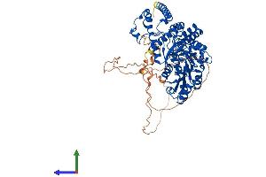 AlphaFold protein structure predicition of Mouse Recombinant Hdc Protein, UniprotID P23738