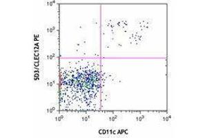 Flow Cytometry (FACS) image for anti-C-Type Lectin Domain Family 12, Member A (CLEC12A) antibody (PE) (ABIN2662631)