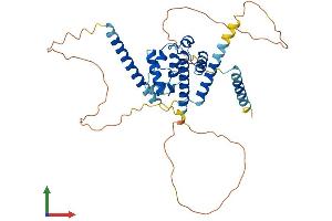 AlphaFold protein structure predicition of Mouse Recombinant Cep44 Protein, UniprotID Q5HZK1
