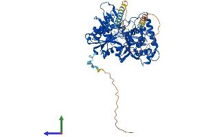 AlphaFold protein structure predicition of Human Recombinant ACTR8 Protein, UniprotID Q9H981