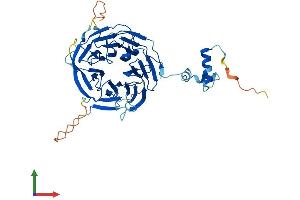 AlphaFold protein structure predicition of Human Recombinant ITFG2 Protein, UniprotID Q969R8