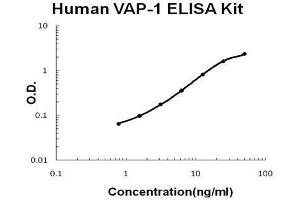 Human  VAP-1 PicoKine ELISA Kit standard curve