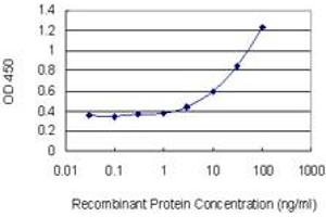 Detection limit for recombinant GST tagged UAP1 is 1 ng/ml as a capture antibody. (UAP1 anticorps  (AA 406-504))