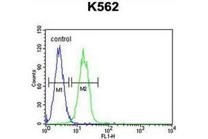 Flow cytometric analysis of K562 cells usinb JMJD2C Antibody (C-term) Cat. (KDM4C anticorps  (C-Term))