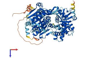 AlphaFold protein structure predicition of Human Recombinant DHX33 Protein, UniprotID Q9H6R0