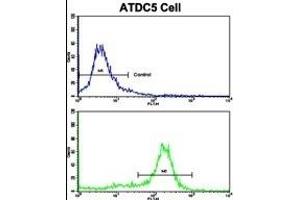 Flow cytometric analysis of ATDC5 cells using MSRB2 Antibody (Center)(bottom histogram) compared to a negative control cell (top histogram). (MSRB2 anticorps  (AA 44-73))