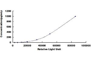 ELISA image for Interleukin 1, beta (IL1B) CLIA Kit (ABIN492076)