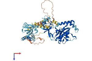 AlphaFold protein structure predicition of Human Recombinant MPP2 Protein, UniprotID Q14168