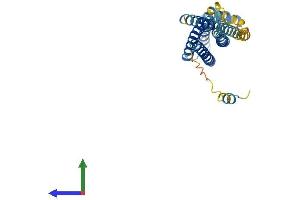 AlphaFold protein structure predicition of Mouse Recombinant Stx2 Protein, UniprotID Q00262