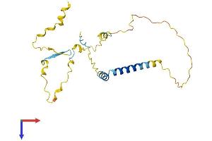AlphaFold protein structure predicition of Human Recombinant TP53INP2 Protein, UniprotID Q8IXH6