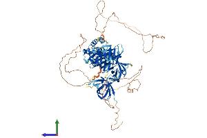 AlphaFold protein structure predicition of Human Recombinant IFI16 Protein, UniprotID Q16666