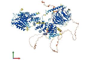 AlphaFold protein structure predicition of Human Recombinant RPTOR Protein, UniprotID Q8N122