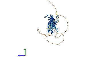 AlphaFold protein structure predicition of Human Recombinant TARBP2 Protein, UniprotID Q15633