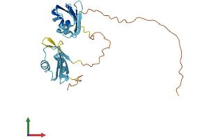 AlphaFold protein structure predicition of Mouse Recombinant Srsf9 Protein, UniprotID Q9D0B0
