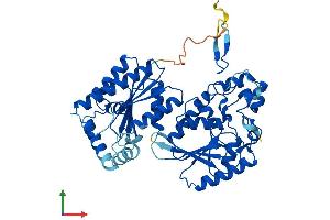 AlphaFold protein structure predicition of Human Recombinant PFKFB4 Protein, UniprotID Q16877
