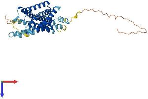 AlphaFold protein structure predicition of Mouse Recombinant Hcar1 Protein, UniprotID Q8C131