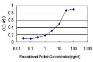 Detection limit for recombinant GST tagged TCP1 is approximately 0. (TCP1 alpha/CCTA anticorps  (AA 1-556))