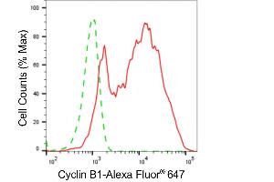 Flow cytometric analysis of Cyclin B1 expression in HeLa cells using Cyclin B1 antibody (ABIN7798190), 1:2,000).