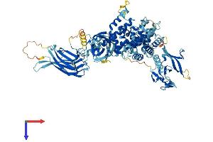 AlphaFold protein structure predicition of Mouse Recombinant Rasa3 Protein, UniprotID Q60790