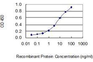 Detection limit for recombinant GST tagged OPA1 is 0. (OPA1 anticorps  (AA 851-960))