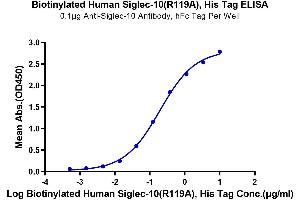 Immobilized Anti-Siglec-10 Antibody, hFc Tag at 1 μg/mL (100 μL/well) on the plate.