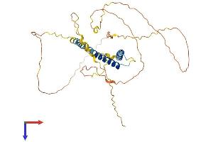AlphaFold protein structure predicition of Mouse Recombinant Sohlh1 Protein, UniprotID Q6IUP1