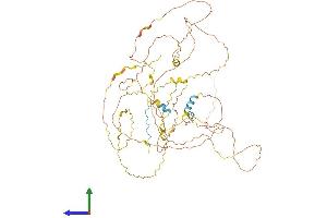 AlphaFold protein structure predicition of Mouse Recombinant Bcas1 Protein, UniprotID Q80YN3