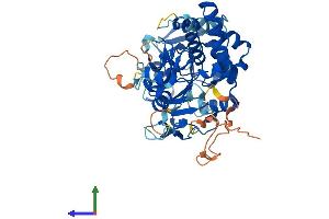 AlphaFold protein structure predicition of Mouse Recombinant Nt5dc1 Protein, UniprotID Q8C5P5