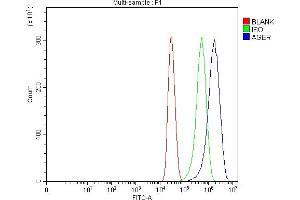 Flow Cytometry analysis of MCF-7 cells using anti-RAGE/AGER antibody (ABIN7601722). (RAGE anticorps  (AA 43-404))