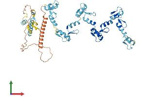 AlphaFold protein structure predicition of Human Recombinant ZNF718 Protein, UniprotID Q3SXZ3