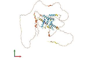 AlphaFold protein structure predicition of Human Recombinant ZSCAN18 Protein, UniprotID Q8TBC5