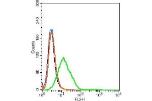 HEK 293T cells probed with Insulin receptor subunit beta Antibody, Unconjugated  at 1:20 for 30 minutes followed by incubation with a conjugated secondary (PE Conjugated) (green) for 30 minutes compared to control cells (blue), secondary only (light blue) and isotype control (orange).