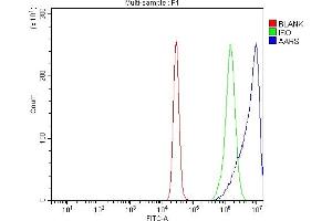 Flow Cytometry analysis of K562 cells using anti-AlaRS/AARS1 antibody (ABIN7602380). (Alanine--tRNA Ligase, Mitochondrial (AARS-1) (AA 729-968) anticorps)