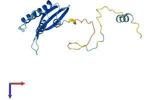 AlphaFold protein structure predicition of Mouse Recombinant Snx24 Protein, UniprotID Q9CRB0