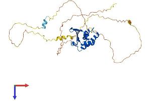 AlphaFold protein structure predicition of Mouse Recombinant Tob1 Protein, UniprotID Q61471
