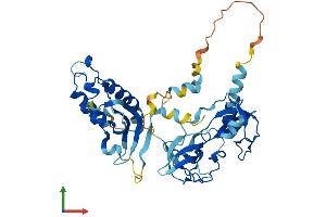 AlphaFold protein structure predicition of Human Recombinant NCF1 Protein, UniprotID P14598