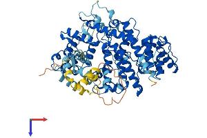 AlphaFold protein structure predicition of Mouse Recombinant Pls1 Protein, UniprotID Q3V0K9