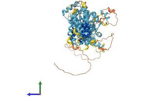 AlphaFold protein structure predicition of Mouse Recombinant Cenpi Protein, UniprotID Q8K1K4