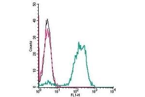 Cell surface detection of TRPV2 by indirect flow cytometry in live intact human THP-1 monocytic leukemia cells: (black line) Cells.