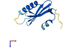 AlphaFold protein structure predicition of Mouse Recombinant Lamtor4 Protein, UniprotID Q8CF66
