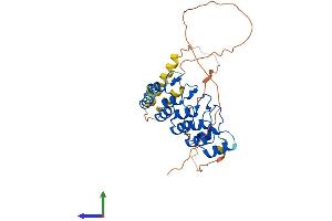 AlphaFold protein structure predicition of Human Recombinant ANKRA2 Protein, UniprotID Q9H9E1
