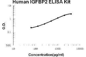 Human IGFBP2 PicoKine ELISA Kit standard curve (IGFBP2 Kit ELISA)