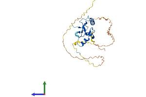 AlphaFold protein structure predicition of Human Recombinant THAP10 Protein, UniprotID Q9P2Z0