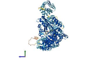 AlphaFold protein structure predicition of Human Recombinant NLRC4 Protein, UniprotID Q9NPP4