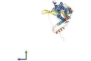 AlphaFold protein structure predicition of Mouse Recombinant Drd2 Protein, UniprotID P61168